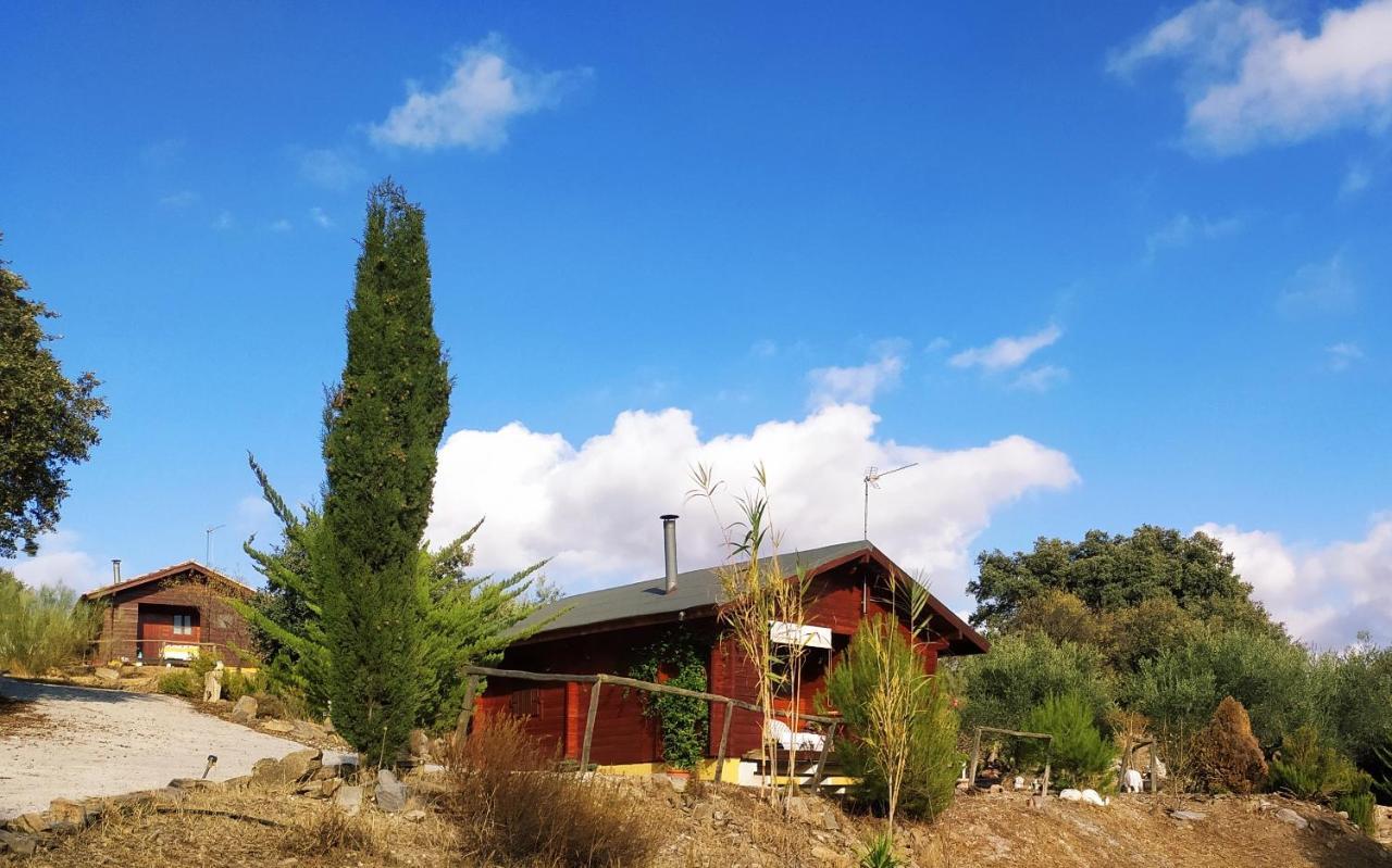 Casa La Colina Mandarina II Casa De Madera Villa Tahal Exteriör bild